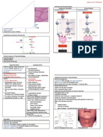 Pathology of Thyroid Diseases