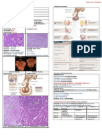 Pituitary Gland Pathology