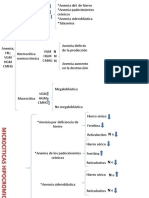 Cuadro Sinoptico de Los Datos de La BH en Diferentes Anemias