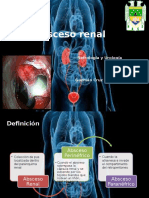 Alejandra Guzman Cruz-Absceso Renal