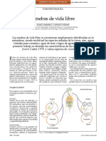 Amebas de Vida Libre: Naegleria Fowleri Acanthamoeba