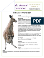 Kangaroo PDF