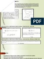 Derivada Direccional