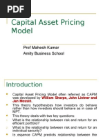 Capital Asset Pricing Model