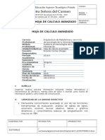 2 Hoja de Calculo Avanzado - Plantilla Iso