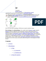 Fungal Dieases in Plant