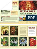 Bizarre Botanicals, by Larry Mellichamp and Paula Gross