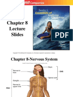 Seeley's Chapter 8 Nervous System