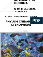 Lecture 5 - Cnidarian and Ctenophores - PPT Final