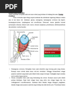 Tinjauan Pustaka