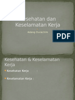 Kesehatan Dan Keselamatan Kerja: Adang Durachim