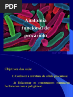 Aula Anatomia de Procarioto