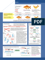 Genes and Phenotypes