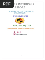 Budgetry Control GAIL 1-07-2010 Neeraj Final