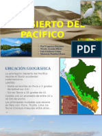 Desierto Del Pacífico