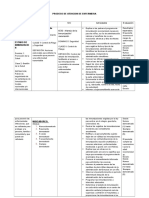 Prodeso de Atencion de Enfermeria Mental