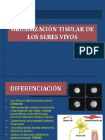 Organización Tisular de Los Seres Vivos