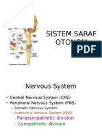 Sistem Saraf Otonom