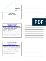 Urinary System Terminology