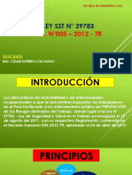 Exposicion Ley 29783