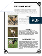 Breeds of Goat