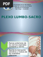 Plexo Lumbosacro (1) Listo