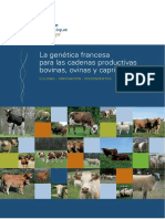 Libro Genetica Bovina Francesa