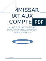 Rapport CAC Final