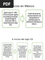 Linea Del Tiempo Inclusion