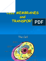 Cell Membranes and Transport