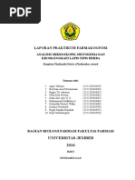 Laporan Praktikum Phyllanthi Herba KLT Dan Histokim