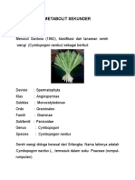 Metabolit Sekunder 1