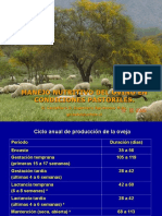 Manejo Nutritivo Del Ovino en Condiciones Pastoriles