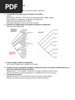 Ficha Técnica Agraz