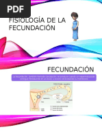 Fisiología de Fecundacion