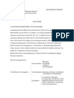 Clasificación de Los Neurotrasnmisores.