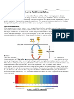 Casestudy Lacticacidfermentation