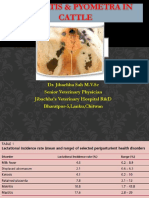 Pyometra& Endometritis in Cattle