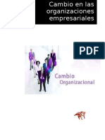 Cambios en Las Organizaciones Empresariales - Ericka