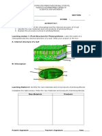 Activity Sheet Photosynthesis