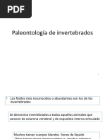 Paleontología de Invertebrados