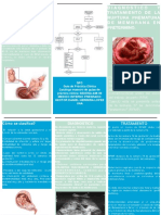 Triptico Ruptura Prematura PDF