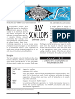 Sea Stats - Bay Scallops