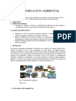 Contaminación Ambiental. Agentes y Fuentes