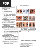 Exploracion de Cabeza