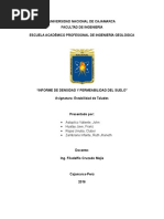 Informe de Densidad y Permeabilidad