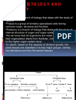 Plant Histology and Anatomy