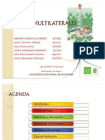 Pozos Multilaterales