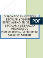 Estructura Del Plan de Acompañamiento AGE