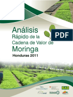 Analisis Cadena de Valor Moringa. - Honduras